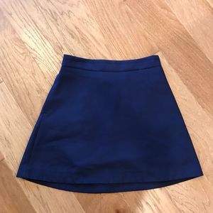 Express A-Line Mini Skirt
